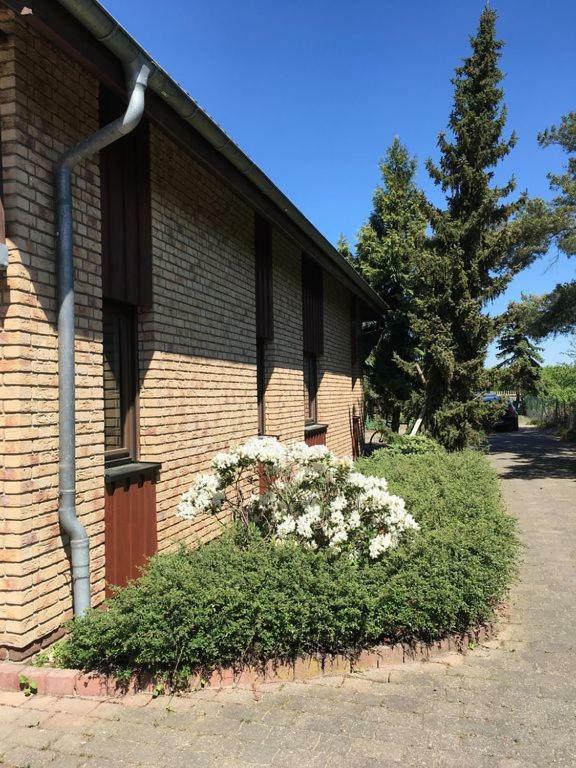 Ferienhaus Busch Lipsk Zewnętrze zdjęcie