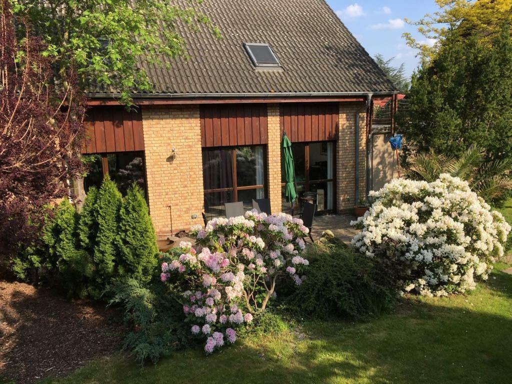 Ferienhaus Busch Lipsk Zewnętrze zdjęcie